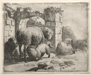 Får nær ruinerne af en bue, 1665.