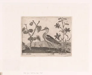 Serie af tryk med blomster og dyr i et landskab Landskab med hejre og lærkespore Landskaber med dyr, planter og blomster (serietitel)