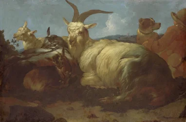 En gedehyrde ser på sine dyr