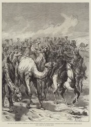 Krigen i Soudan, fangst af tre hundrede kameler af generalmajor Sartorius i en rekognoscering fra Souakim