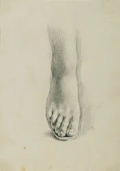 Fodstudium for "Arindal og Daura"