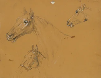 Hestestudie for "Ærkehertug Karl med sin stab i slaget ved Aspern"