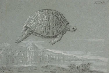 Studie af en skildpadde, og prospekt af en befæstet by ved havet (Venedig)