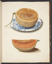 Studie af to netmeloner, halveret og kvadreret