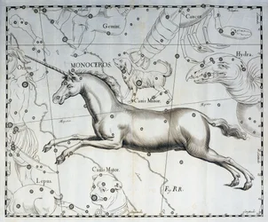 Monoceros, enhjørningens stjernebillede, gravering fra det himmelske atlas Firmamentum Sobiescianum sive Uronographia, af Johann Hevelius (1611-1687), Gdansk