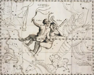 Konstellationen Tvillingerne, illustration fra Firmamentum Sobiescianum sive Uranographia, af Johann Hevelius (1611-1687), Gdansk 1690