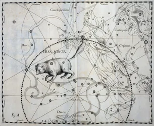 Ursa Minor, Boreal konstellation af Ursa Minor, gravering fra himmelatlas Firmamentum Sobiescianum sive Uronographia, af Johann Hevelius (1611-1687), Gdansk