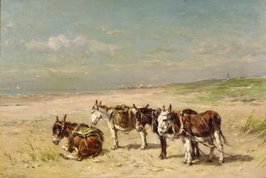 Æsler på stranden