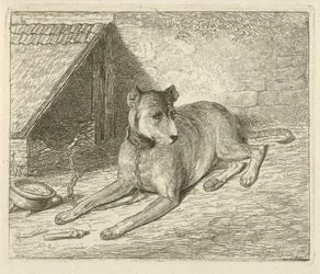 Hund på en kæde ved et hundehus
