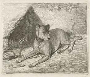 Hund på en kæde ved et hundehus