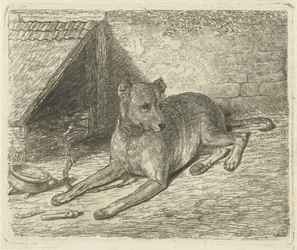 Hund på en kæde ved et hundehus