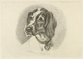 Hundehoved med halsbånd med ring