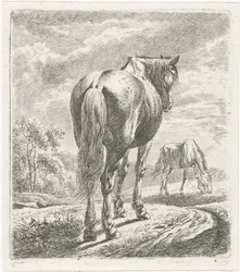 Hest set bagfra