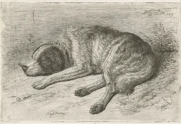 Sovende hund til venstre Neptun (titel på objekt)