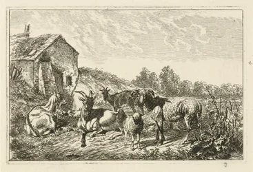 Fire geder og et får ved et hus