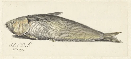 Pæn