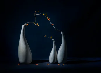Elegante vaser med blomster