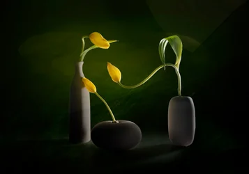 Grønne og gule blomstervaser