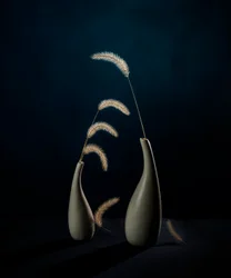 Moody botaniske vaser