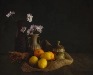 Stemningsfulde blomster og frugter