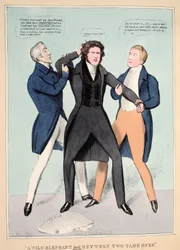 "En vild elefant ført mellem to tamme", pub. 1830 (håndfarvet gravering)