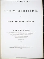 Frontispice (håndfarvet litho)