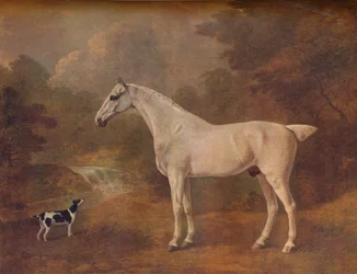 En loppebidt grå og en plettet terrier, 1803.