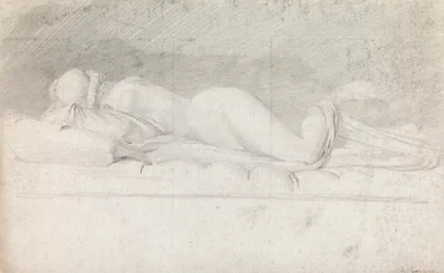 Undersøgelse af Hermafroditen