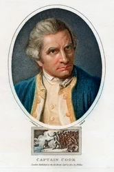 Portræt af James Cook, 1800