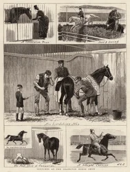 Skitser ved Islington Horse Show