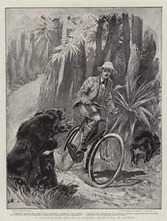En hårbreddeflugt, et cykeleventyr på Ceylon
