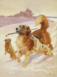 Tre hunde leger i sneen, 1881