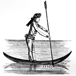 Isis makaroni, 1772