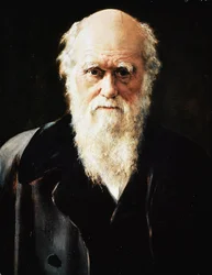 Portræt af den engelske naturforsker Charles Darwin, detalje