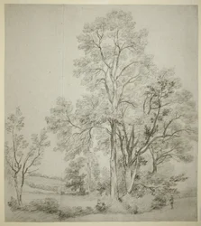 En bevoksning af elmetræer (recto); Et studie af Østre Bergholt med kirken (verso)