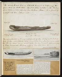 Antikviteter: Tegning af gammel britisk kano fundet (1824) ved North Stoke