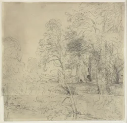Cowdray Castle, set mellem træer