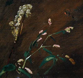 Blomsterstudier: Persicaria og Meadowsweet (olie på lærred lagt på panel)