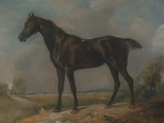 Golding Constables sorte ridehest, mellem 1805 og 1810