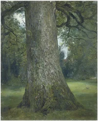 Studie af stammen af et elmetræ, ca. 1824