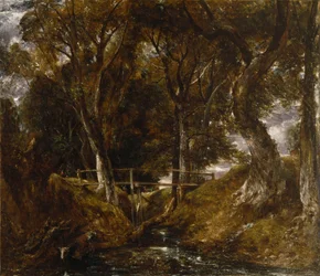 Dell ved Helmingham Park