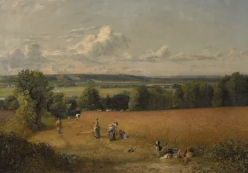 Hvedemarken