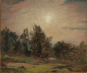 Træer på Hampstead Heath