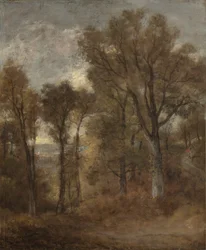 Skovscene med udsigt over Dedham Vale, ca. 1802-03