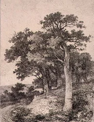 På Colney, pub. af J. & W. Freeman