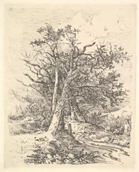 Træstammer og bane, 1811-13.