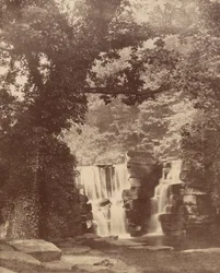 Det øvre vandfald, Penllergare Valley Woods, ca. 1852 (foto)