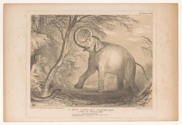 Spotprent mødte Lord Ellenborough som en vild olifant En vild elefant, der basunerer. En scene fra Paradise Lost! (titel på objekt) HB Sketches (serietitel på objekt)