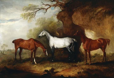 Tre jægere tilhørende Robert Myddelton-Biddulph,