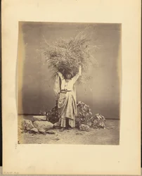 (Ung indisk bondekvinde med kviste på hovedet)
